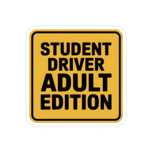 Student Driver Adult Edition Decal, Funny New Driver Sticker, Adulting Car Decal, Nervous Driver Warning Vinyl, Let Me Merge Humor Sticker